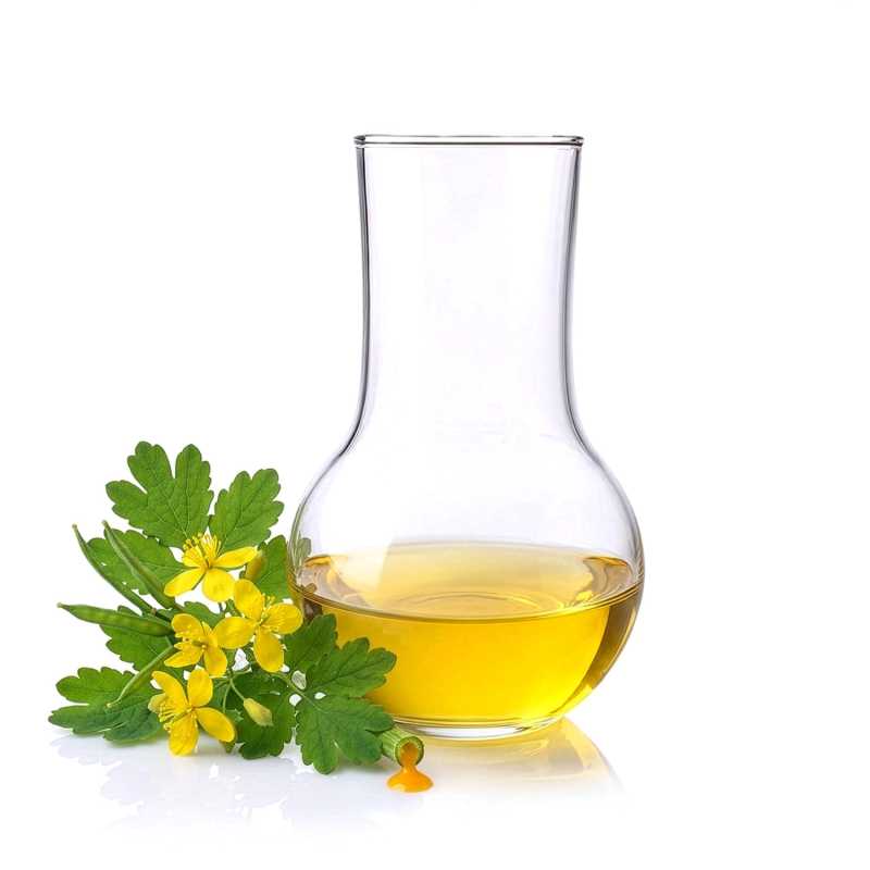 Aktiver Lipoextrakt aus Schöllkraut, 100 ml