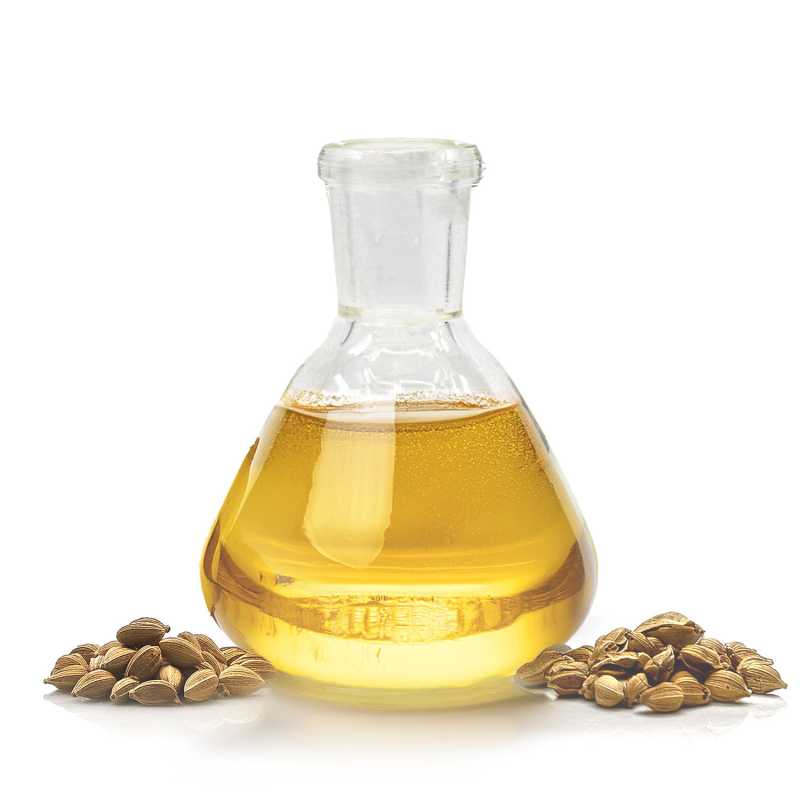 Arganöl, Bio, kaltgepresst, leicht geröstet, 1 l