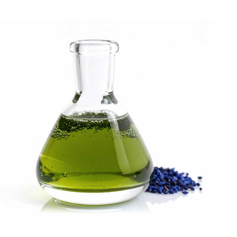 Borretschöl 20%, kaltgepresst, Bio, 100 ml