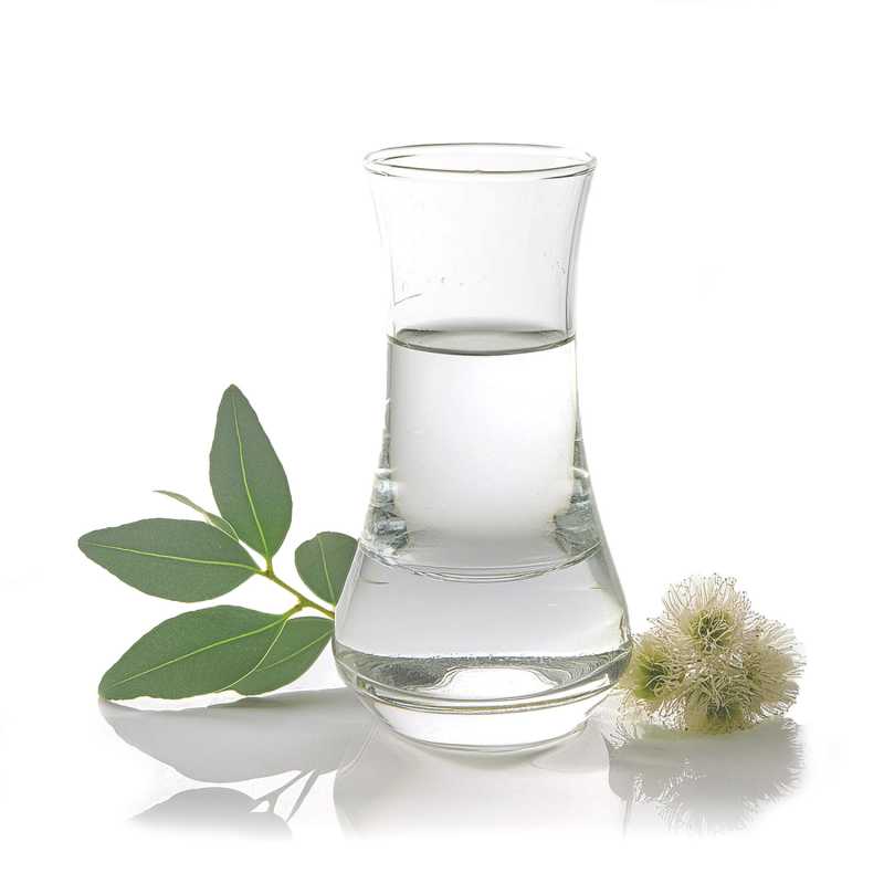 Ätherisches Öl Eukalyptus Smithii, 10 ml