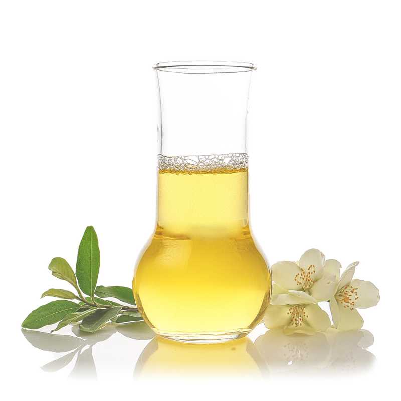 Ätherisches Öl Cajeput, 100ml