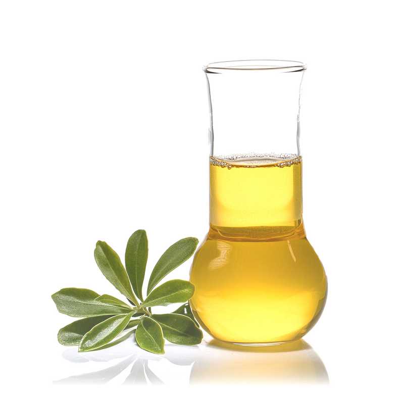 Ravensara Ätherisches Öl, 500 ml