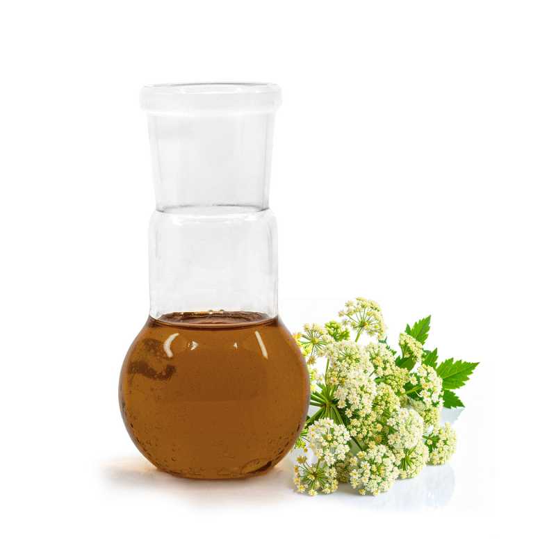 Ätherisches Valeriana-Öl, 100 ml