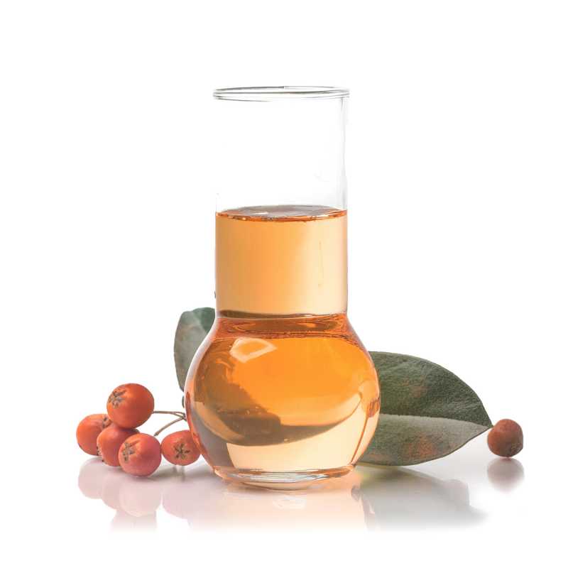 Wintergrün (Gaultheria) Ätherisches Öl, 10 ml