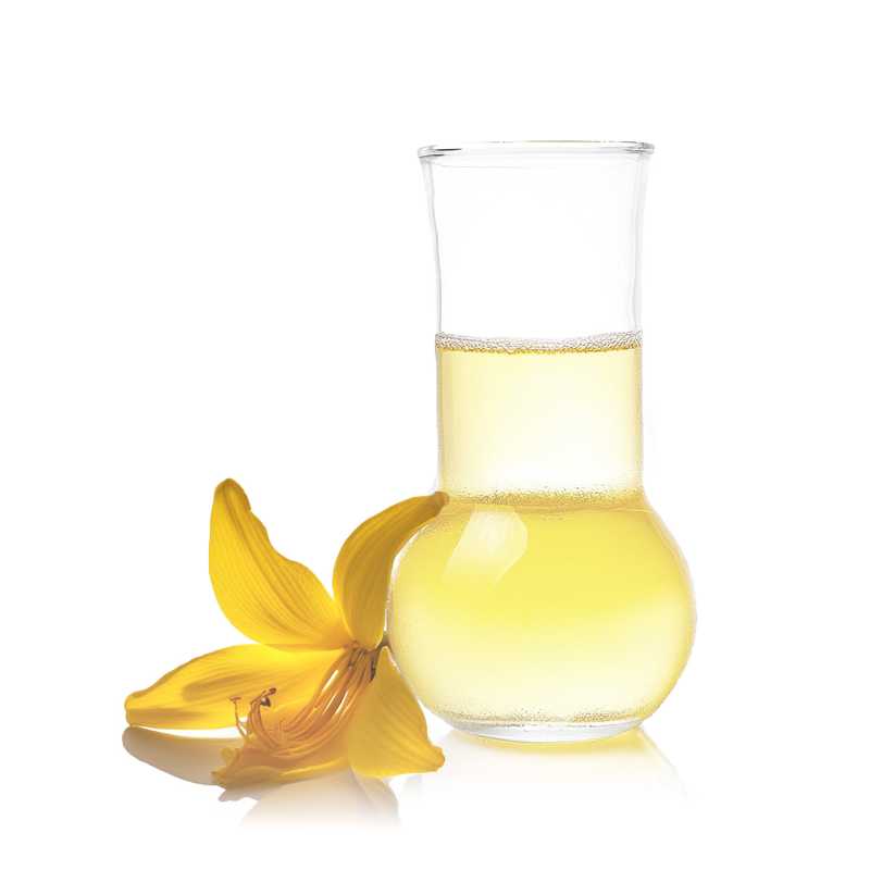 Ylang-Ylang III Ätherisches Öl, 500 ml