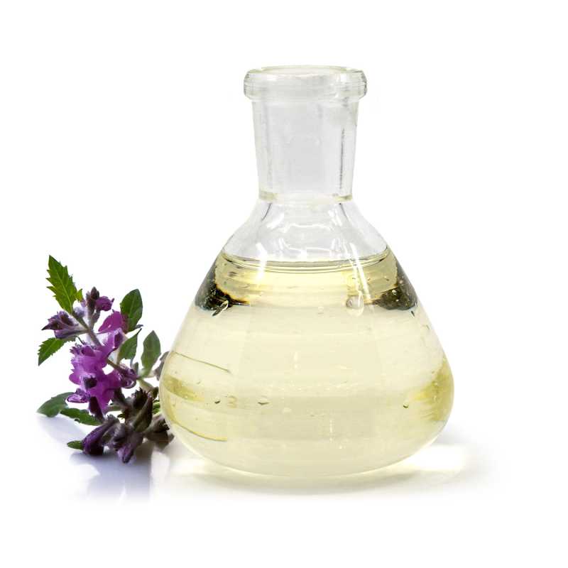 Beinwell in Sonnenblumenöl eingelegt, 5 l