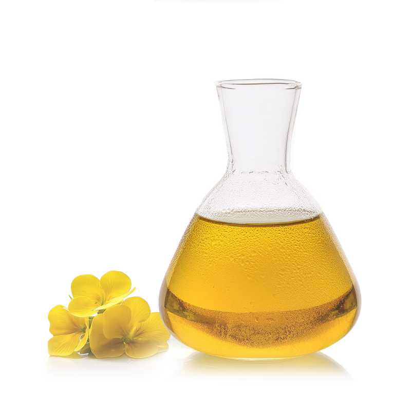 Nachtkerzenöl, kaltgepresst, Bio, 500 ml