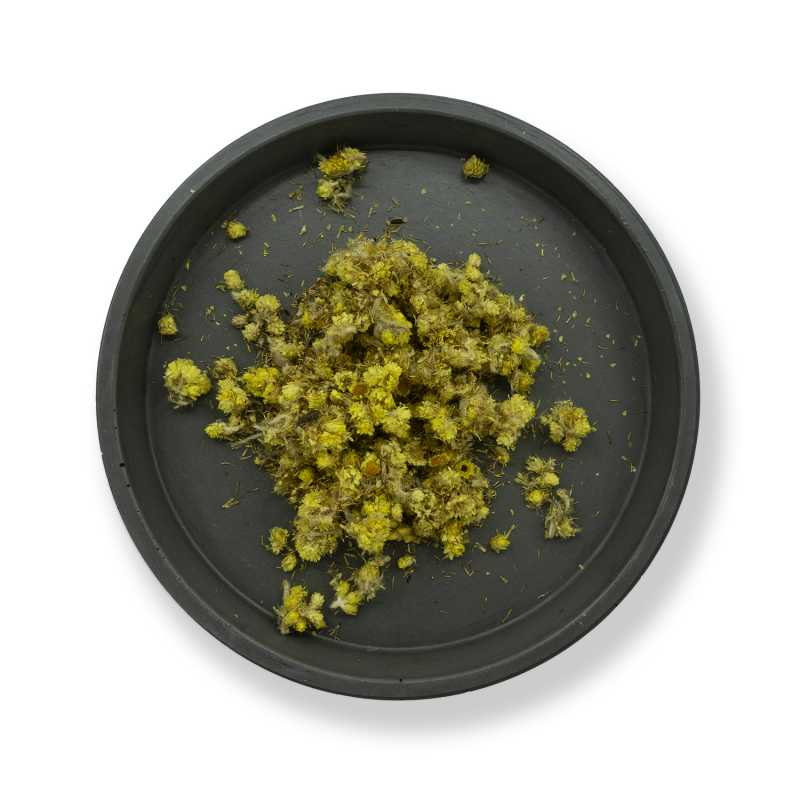 Sandy Everlasting, Getrocknete Blume, 50 g